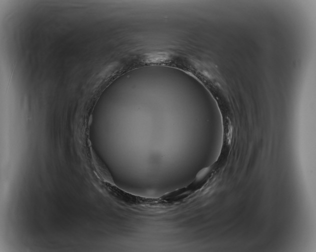 X0000086021441200703301022