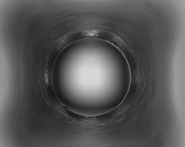 X0000086021442200703301022