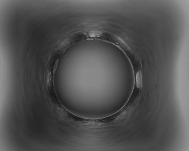 X0000086021443200703301022