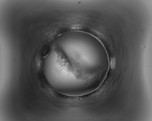 X0000086021444200703301022