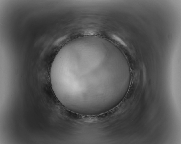 X0000086021446200703301022