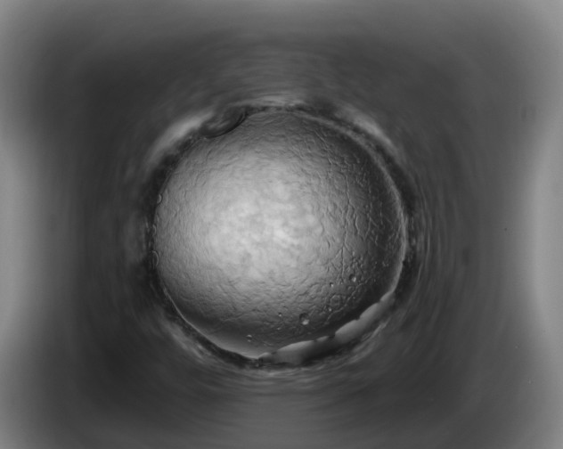X0000086021448200703301022