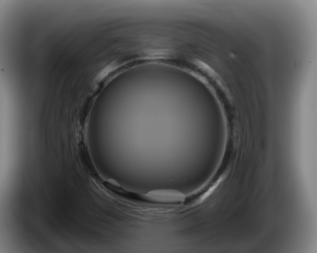 X0000086021449200703301022