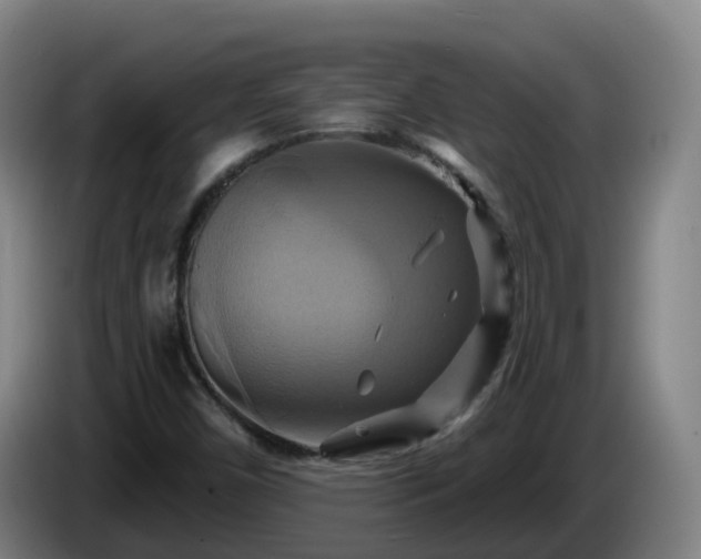X0000086021450200703301022