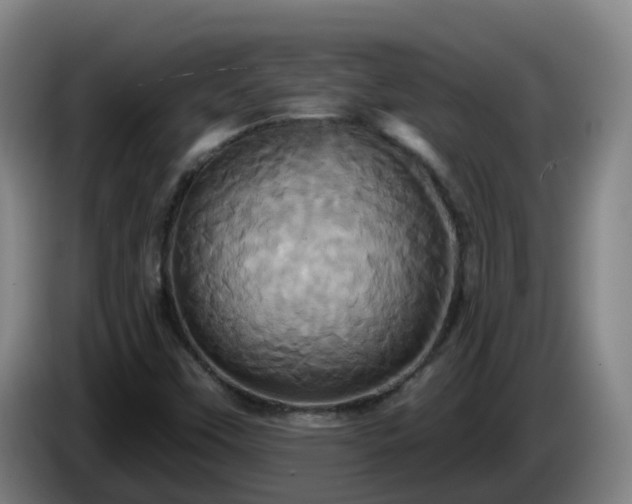X0000086021451200703301022
