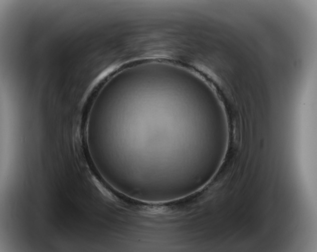 X0000086021452200703301022