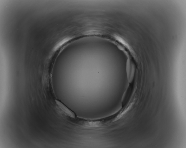 X0000086021453200703301022