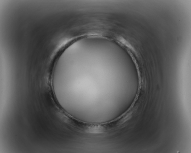X0000086021454200703301022