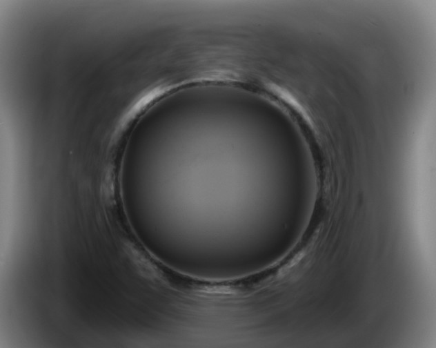 X0000086021455200703301022