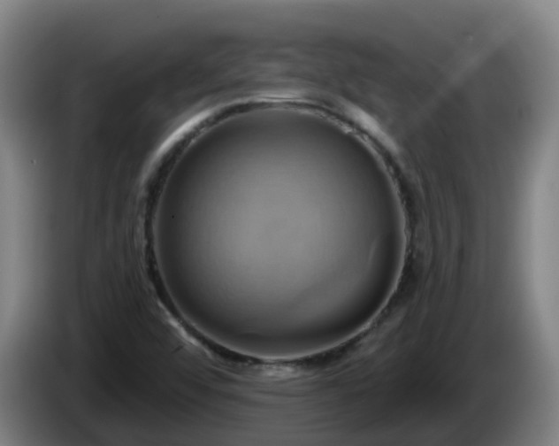 X0000086021456200703301022