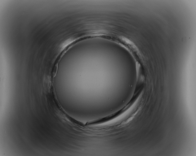 X0000086021457200703301022