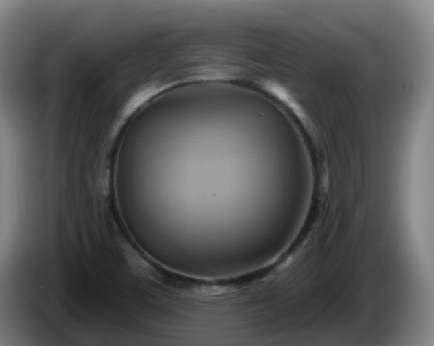 X0000086021459200703301022