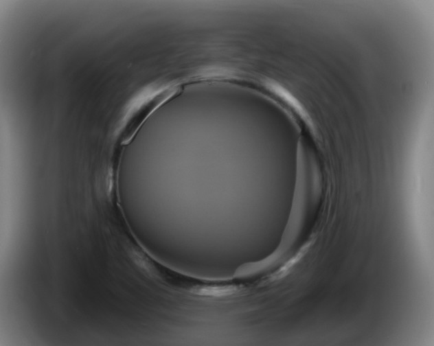 X0000086021461200703301022