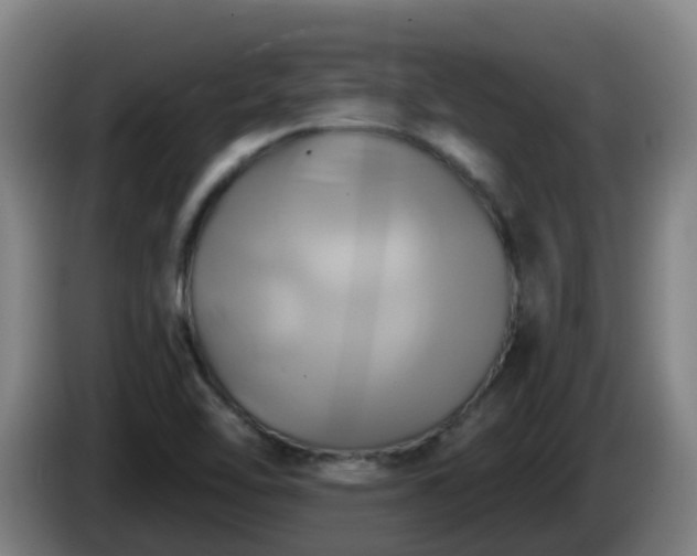 X0000086021462200703301022