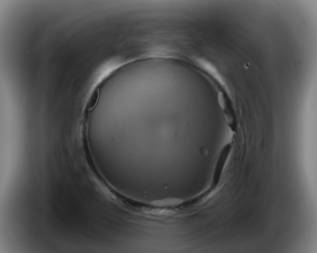 X0000086021463200703301022
