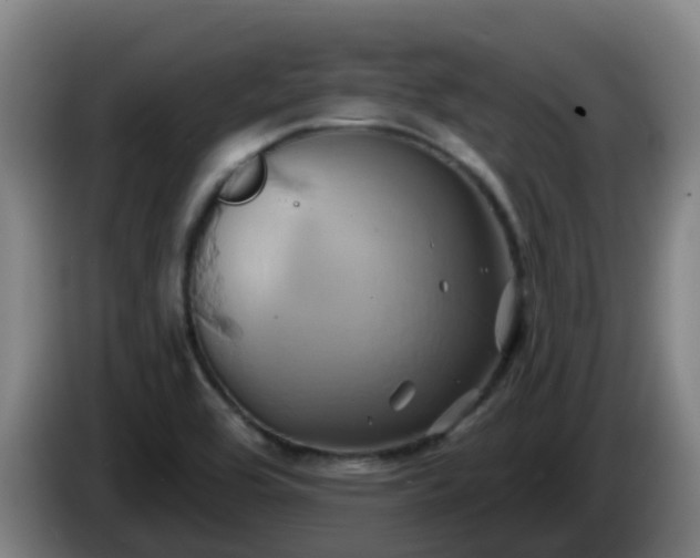 X0000086021464200703301022