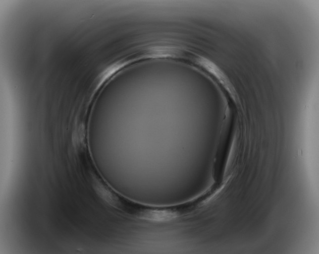 X0000086021465200703301022
