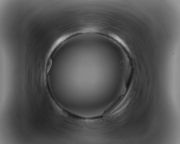 X0000086021469200703301022