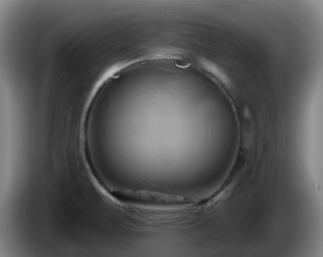 X0000086021471200703301022
