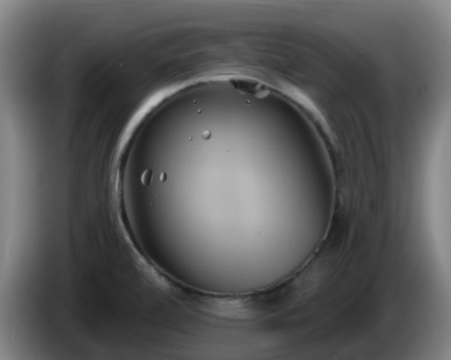 X0000086021472200703301022