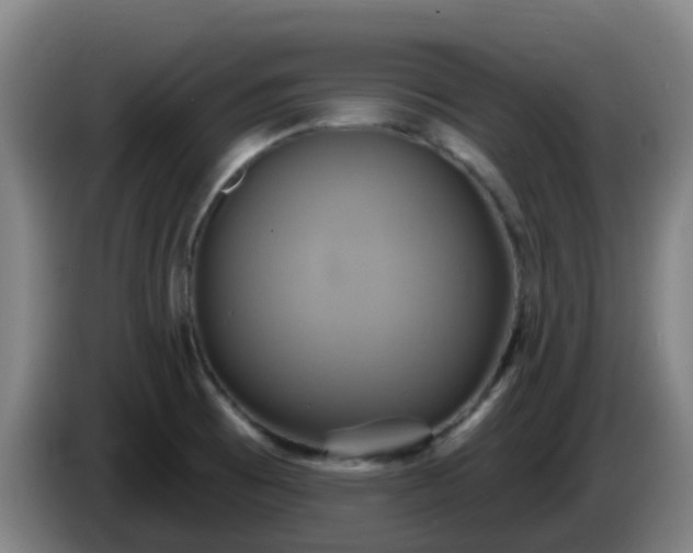 X0000086021473200703301022