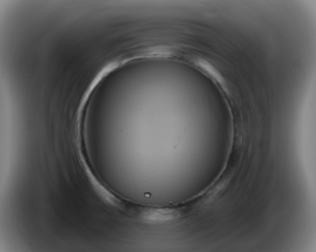 X0000086021475200703301022