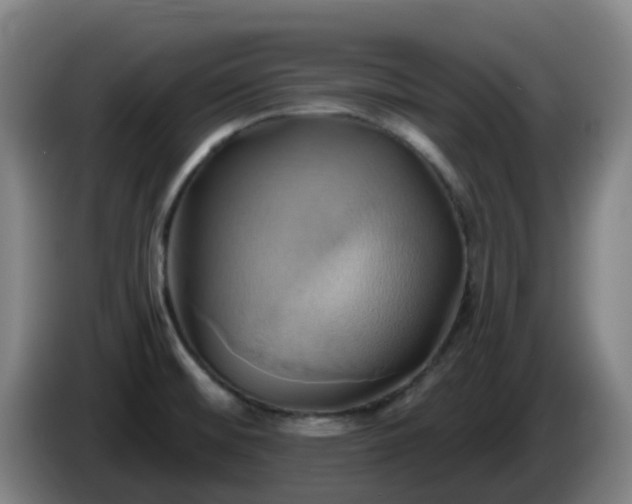 X0000086021476200703301021