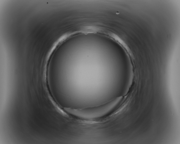 X0000086021477200703301021