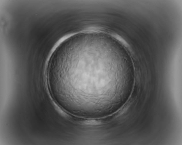 X0000086021478200703301021
