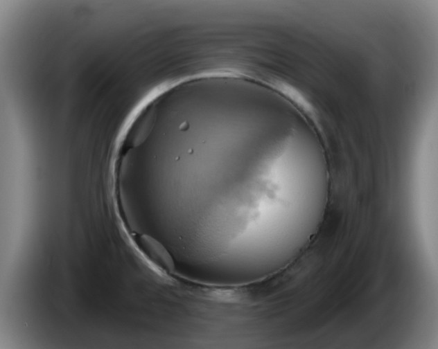 X0000086021480200703301021
