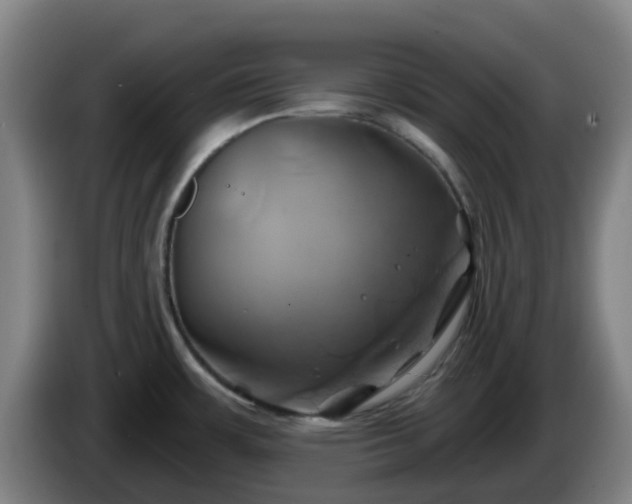 X0000086021483200703301021