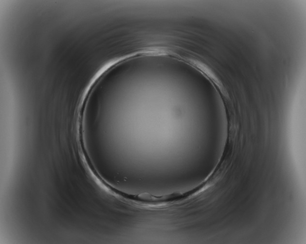 X0000086021484200703301021