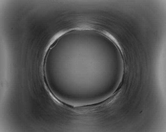X0000086021485200703301021
