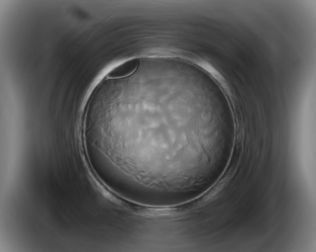 X0000086021486200703301021