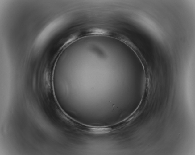 X0000086021487200703301021