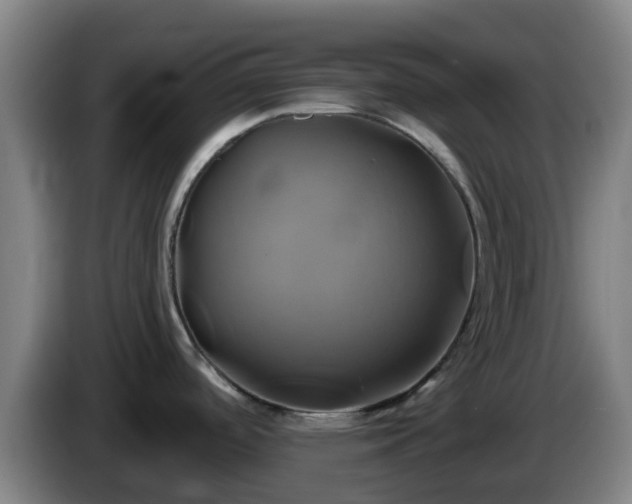 X0000086021488200703301021