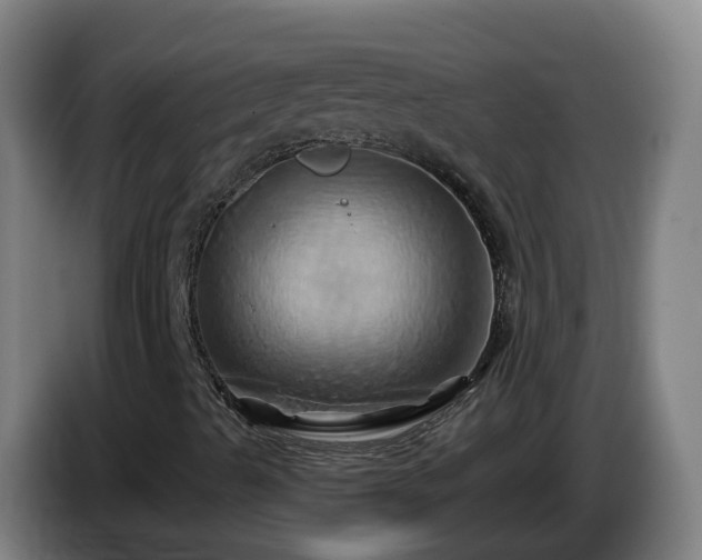 X0000086021489200703301021