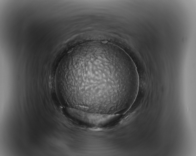 X0000086021490200703301021