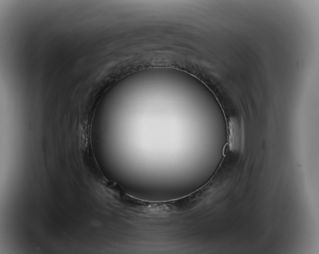 X0000086021491200703301021