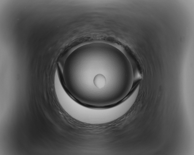 X0000086021492200703301021