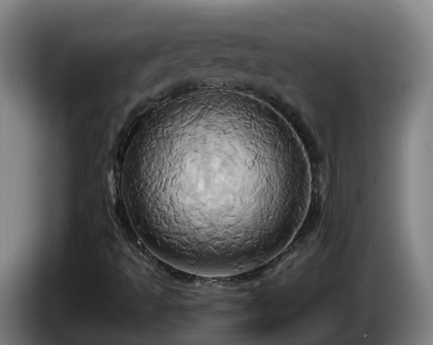 X0000086021493200703301021
