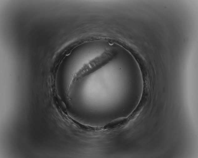 X0000086021494200703301021