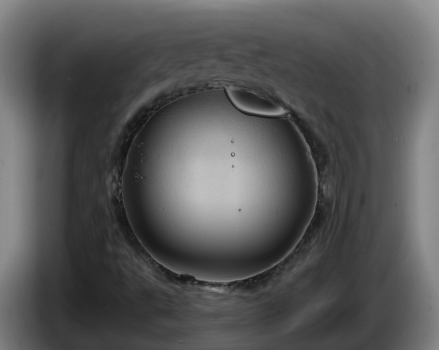 X0000086021495200703301021