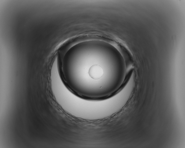 X0000086021496200703301021