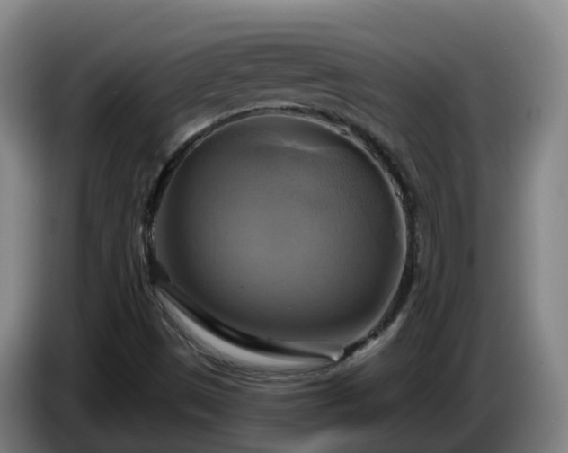 X0000086021497200703301021
