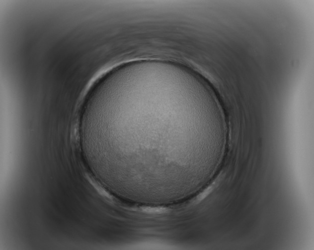 X0000086021498200703301021