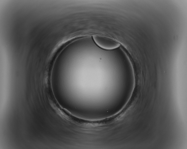 X0000086021499200703301021