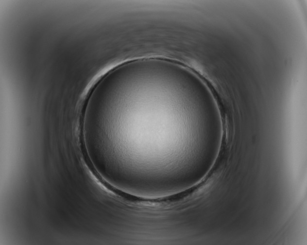 X0000086021500200703301021
