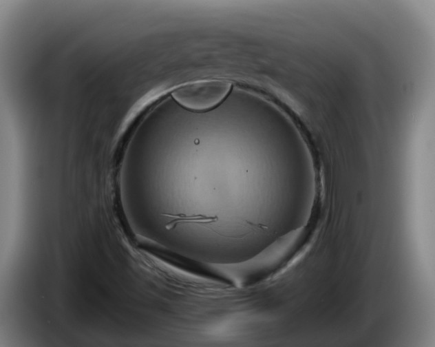 X0000086021501200703301021