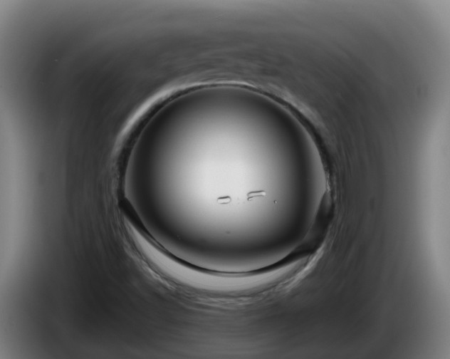 X0000086021502200703301021